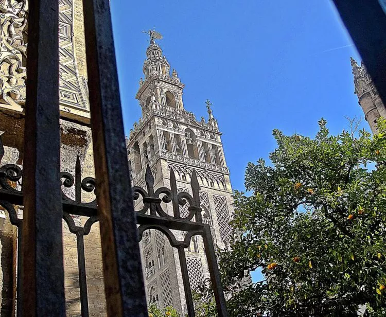 Guided Tour and Tickets to the Alcazar and Cathedral of Seville + Tour of the Santa Cruz Quarter