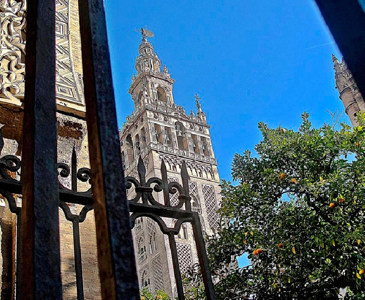 Seville cathedral tour and Giralda
