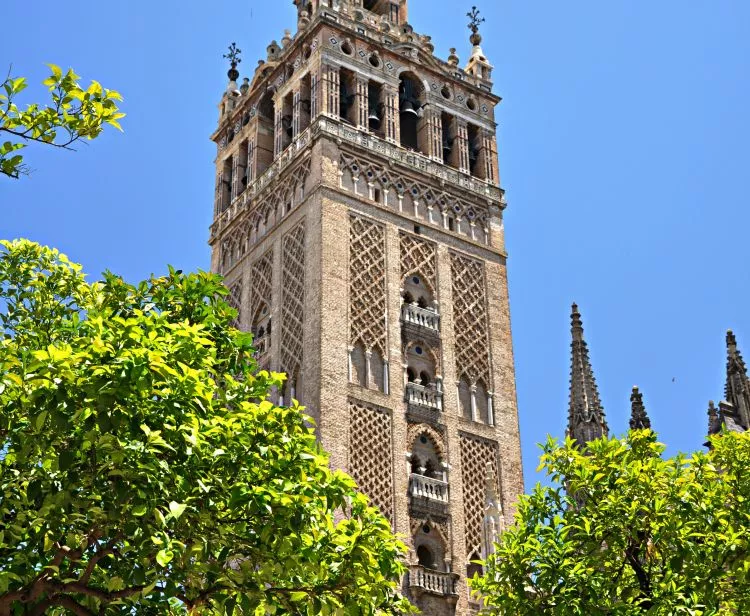 Group excursion from Malaga to Seville