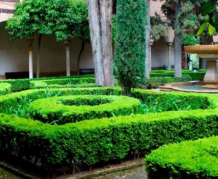 Granada gardens one day tour from Seville