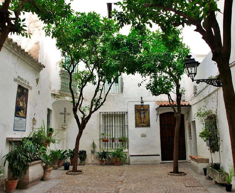 Guided tour of the Santa Cruz quarter of Seville