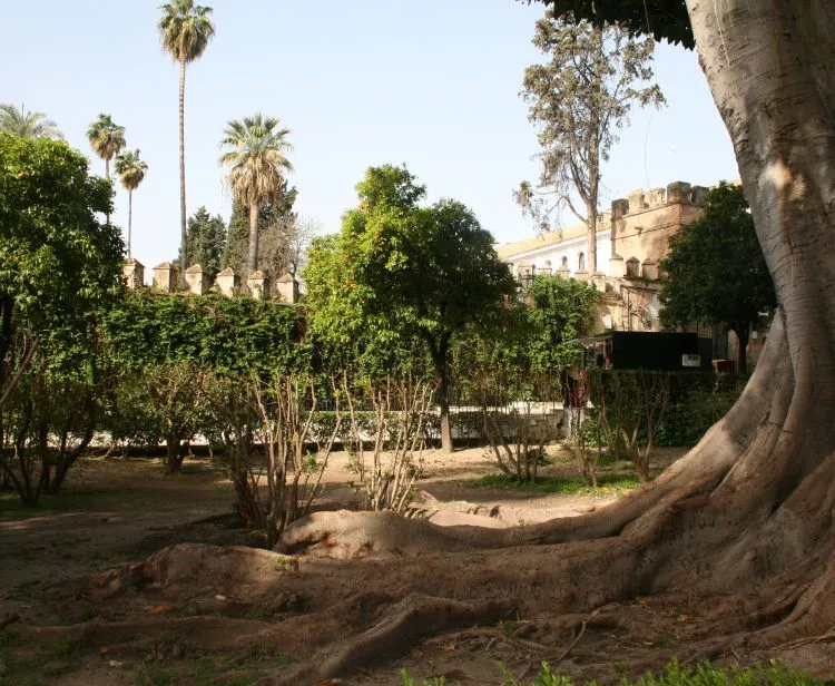 Tour Barrio Santa Cruz en Sevilla