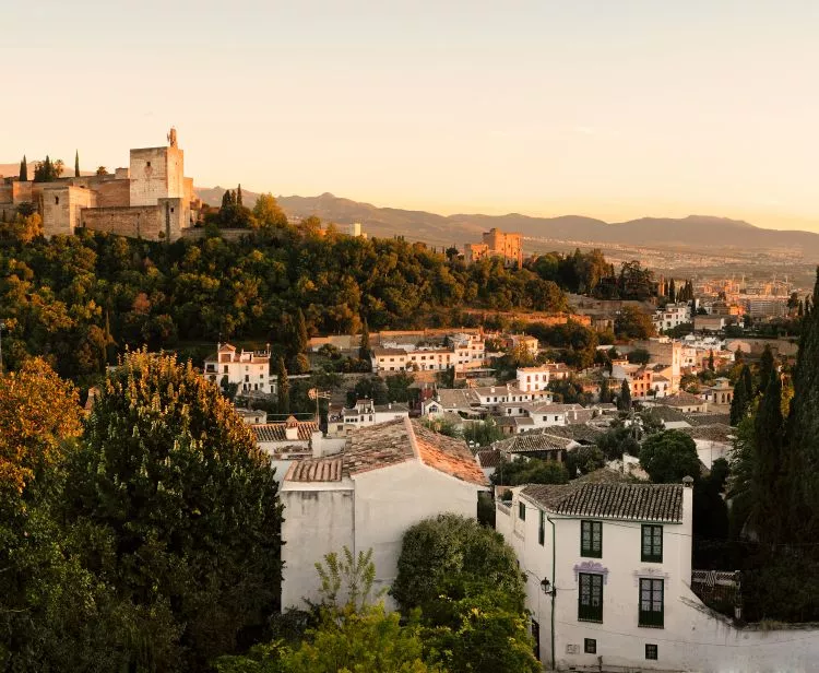 Albaicin and Granada city centre  private tour