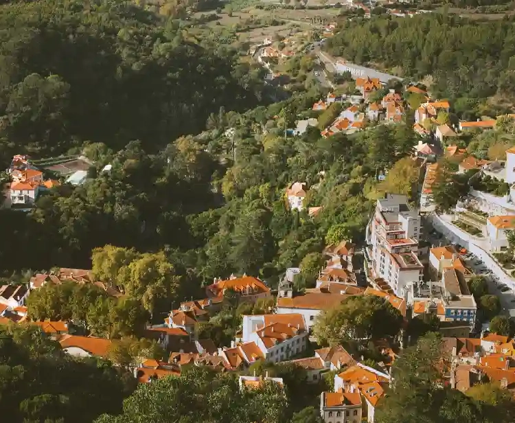 Pena Palace and National Palace of Sintra Combo