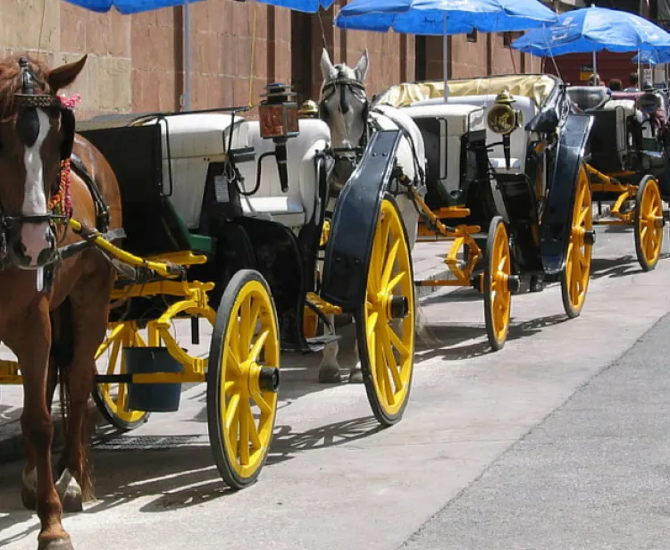 Horse-drawn carriage ride 45 Min  