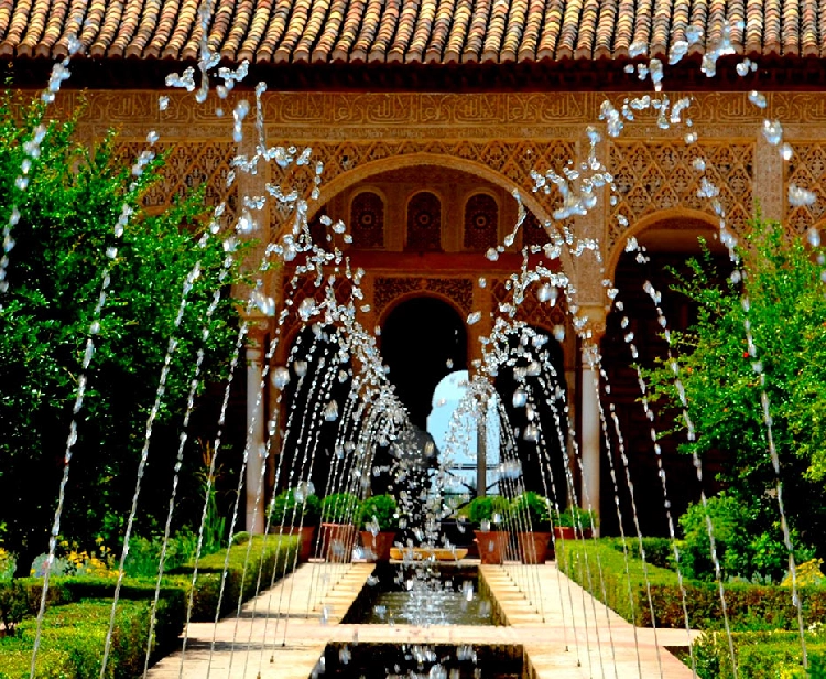 Private tour in the Alhambra of Granada and the Albaycín