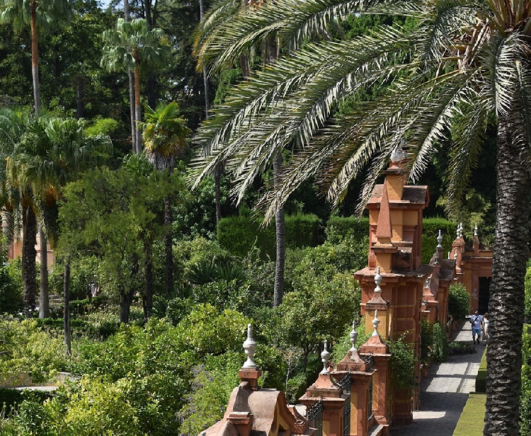 Real Alcázar Seville vip tour