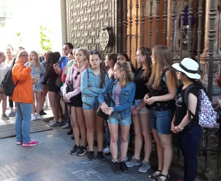 Catedral Tour + Flamenco Show