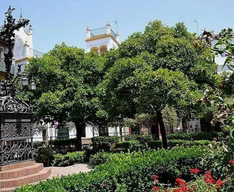 Jewish Quarter and Plaza de España Seville Private Tour