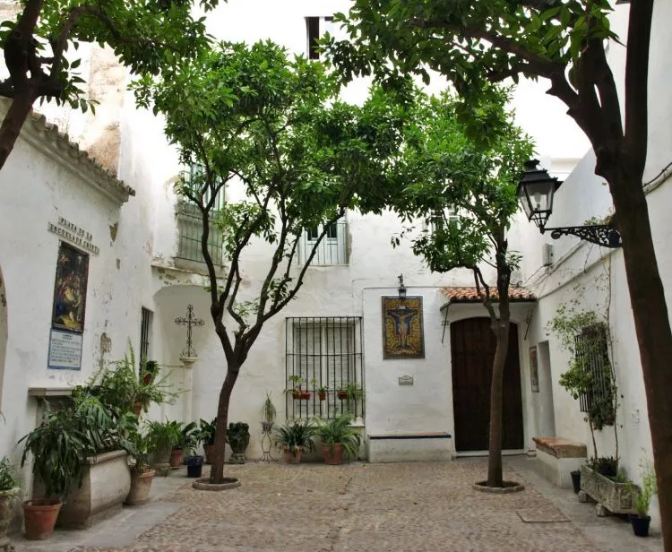 Seville Santa Cruz Jewish Quarter Tour + Seville river cruise