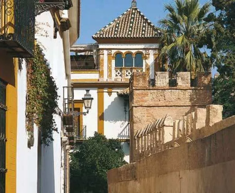 Santa Cruz Jewish Quarter Tour +  Triana