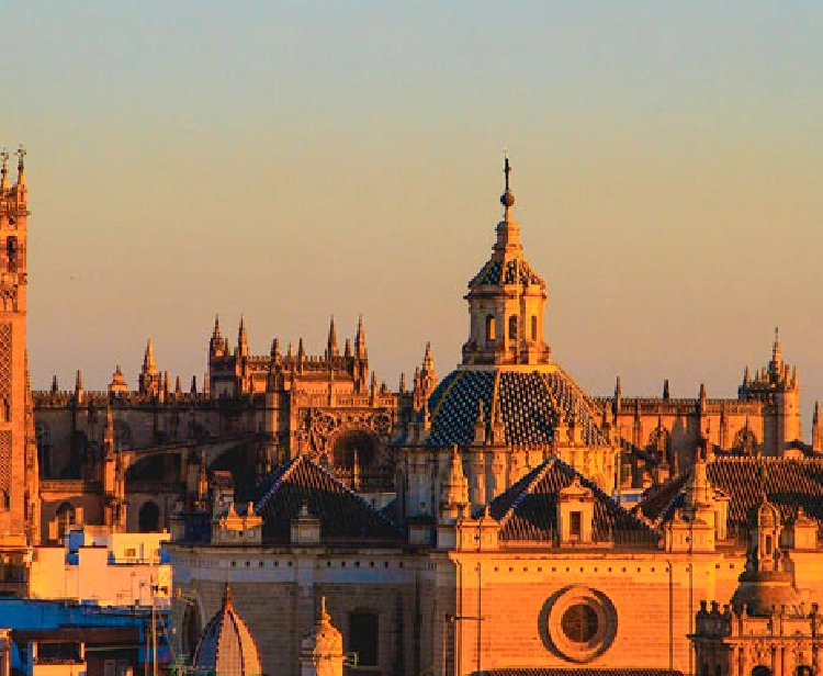 Seville Alcazar and Cathedral private tour