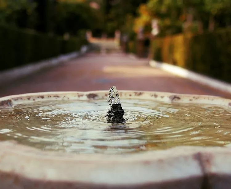 Guided Tour and Tickets to the Alcazar and Cathedral of Seville + Tour of the Santa Cruz Quarter