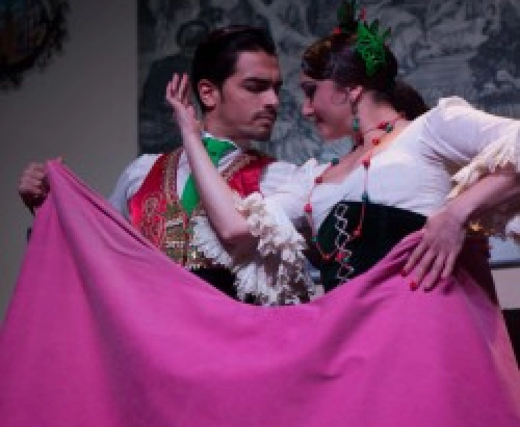 Patio Sevillano Tapas + Flamenco Show