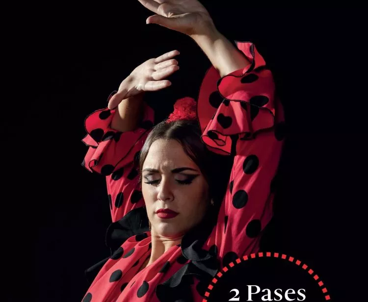 Seville Flamenco Tour