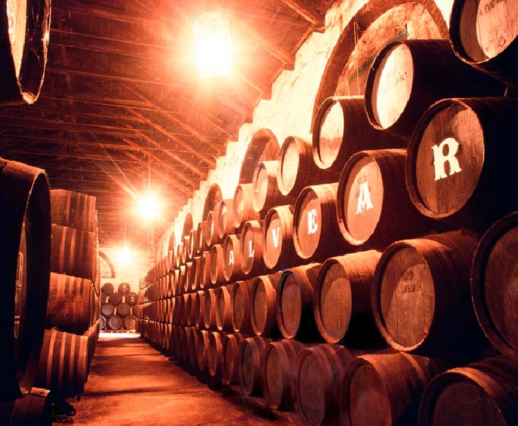 Visit Cádiz and Jerez wineries from Seville