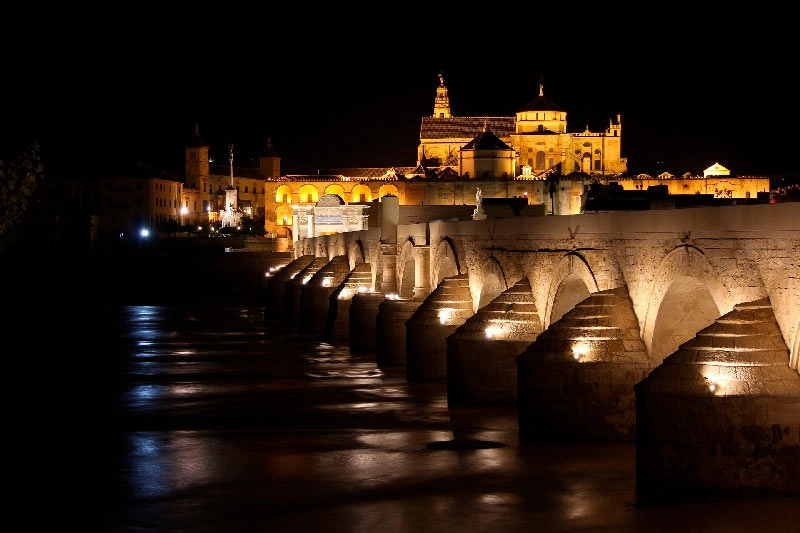 Tour visit Mosque of Cordoba from Seville