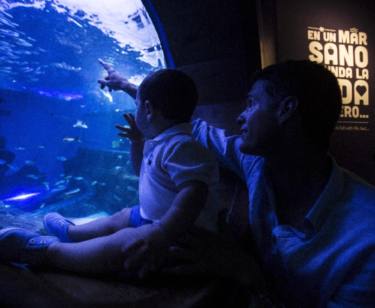 Acquario di Siviglia