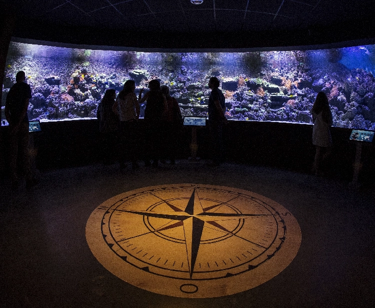 Acquario di Siviglia