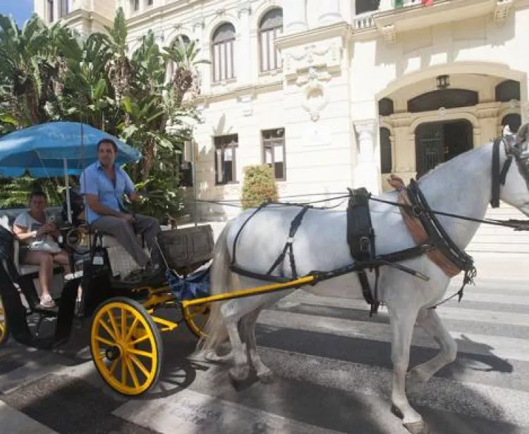 Passeggiate in carrozza