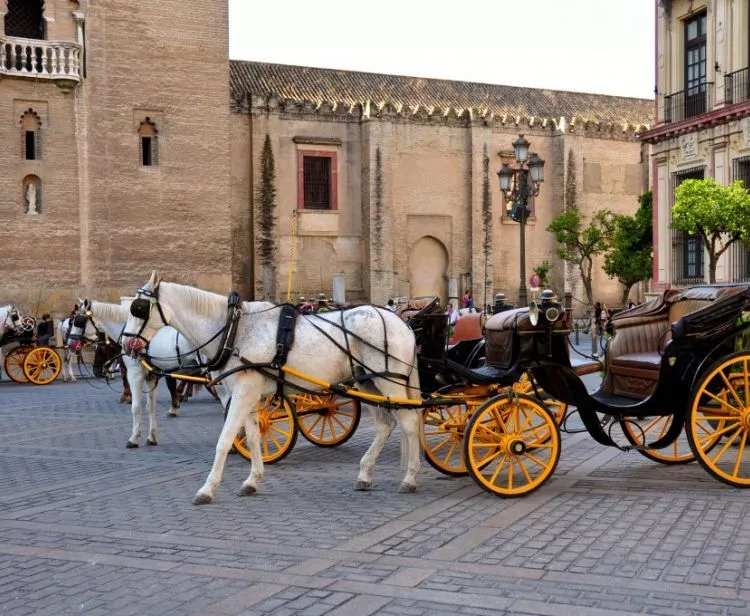 Giro in carrozza trainata da cavalli con prelievo in hotel dal centro storico