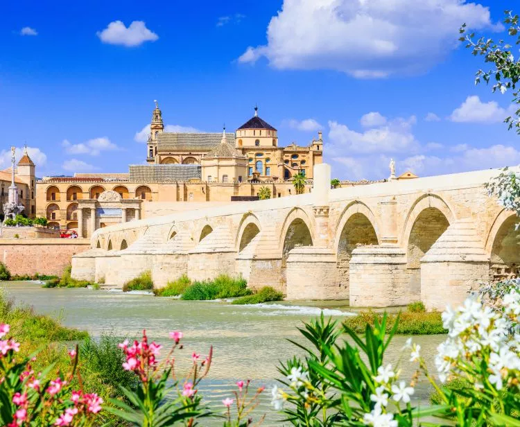 Visita guidata ai Cortili di Cordoba