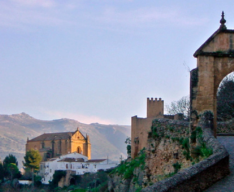 Escursione di un giorno da Siviglia a los pueblos blancos (ronda, arcos...)