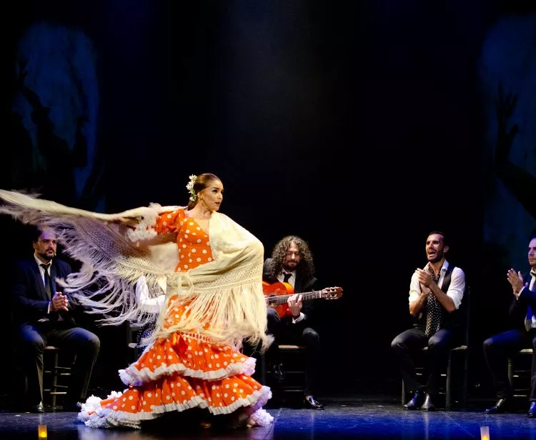 Visita al Palazzo Reale e spettacolo di flamenco