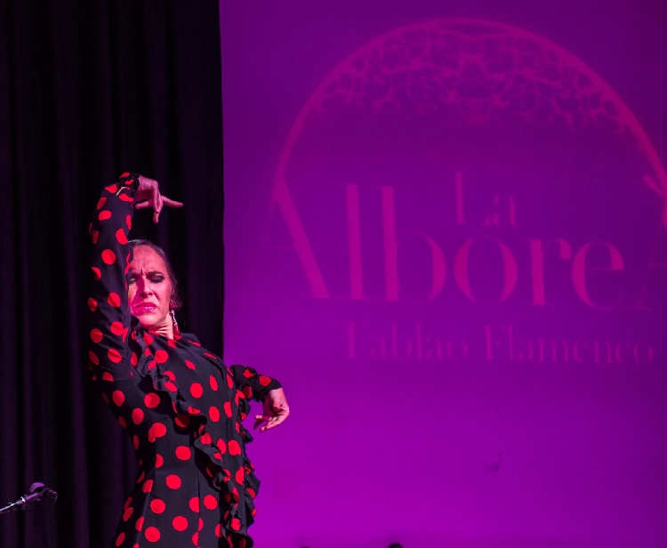 Flamenco nel Centro di Granada con Consumazione