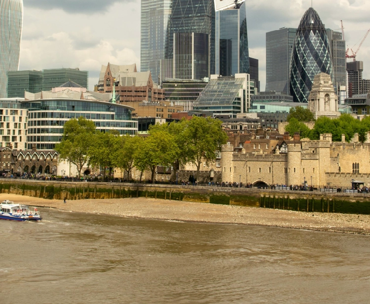 Combo Torre di Londra Biglietto e Audioguida e Crociera sul Tamigi