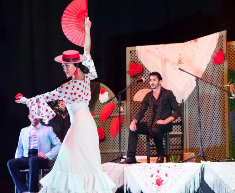 Tour di flamenco + arena