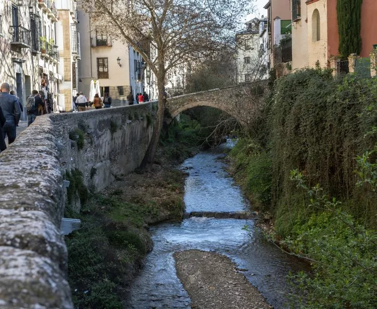 Tour Albaicin e del centro di Granada