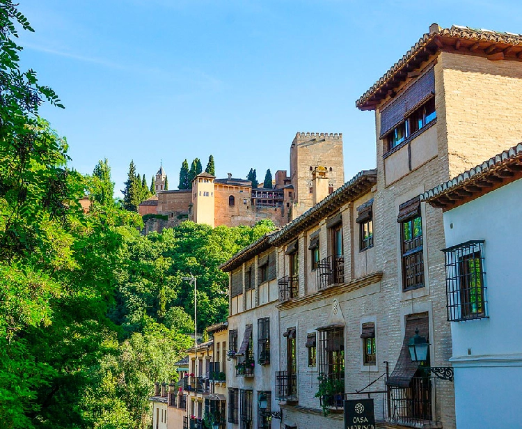 Tour Privato nell'Alhambra + Albaycin Granada
