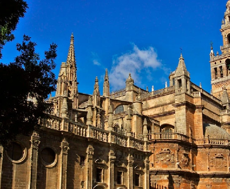 Tour guidato in inglese nella Cattedrale & Giralda Siviglia