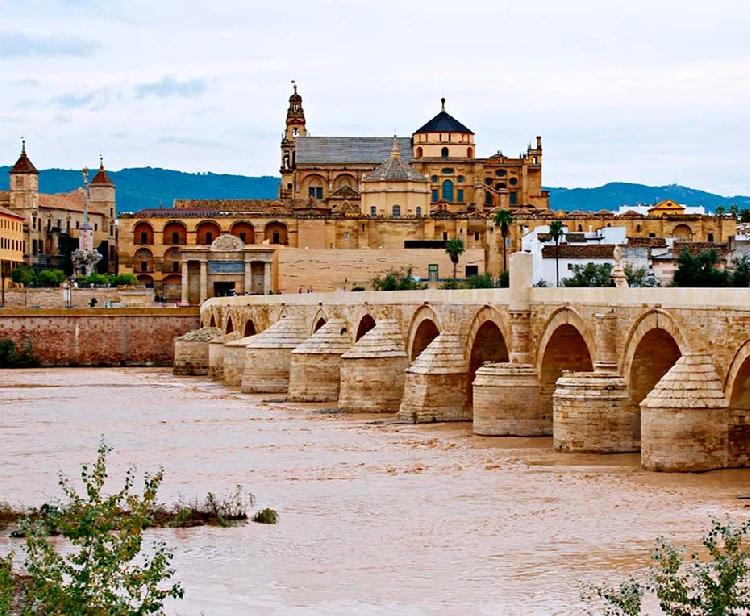 Escursione di un giorno da Siviglia a cordoba