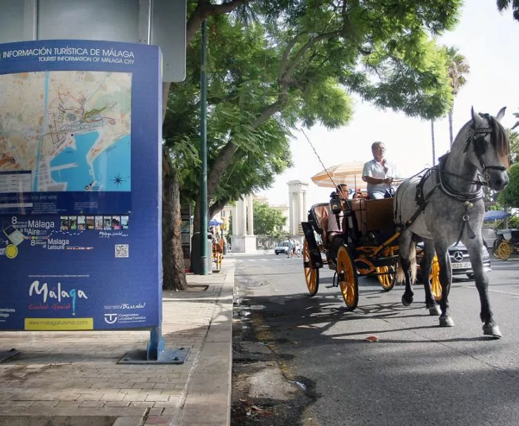 30-minute horse-drawn carriage ride