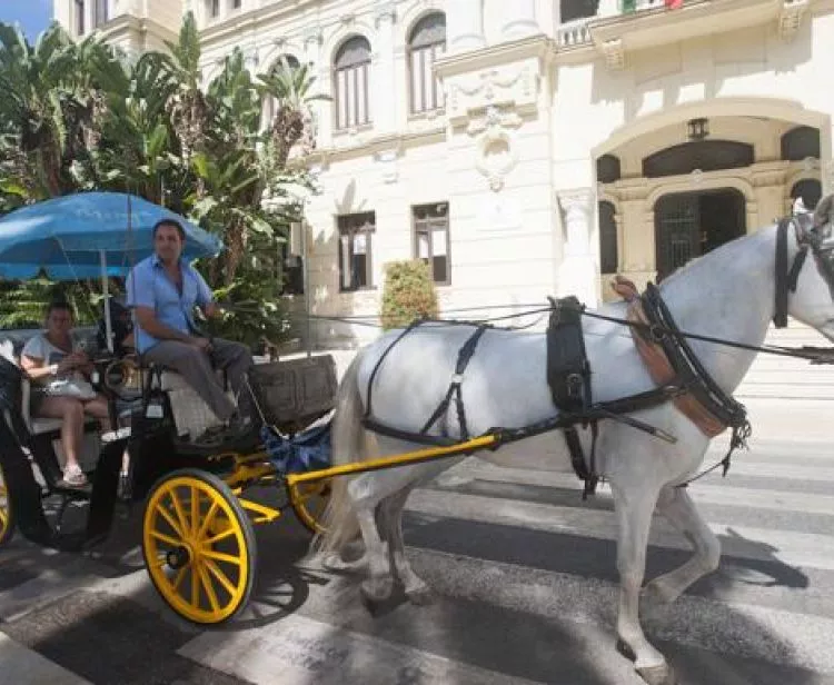 30-minute horse-drawn carriage ride