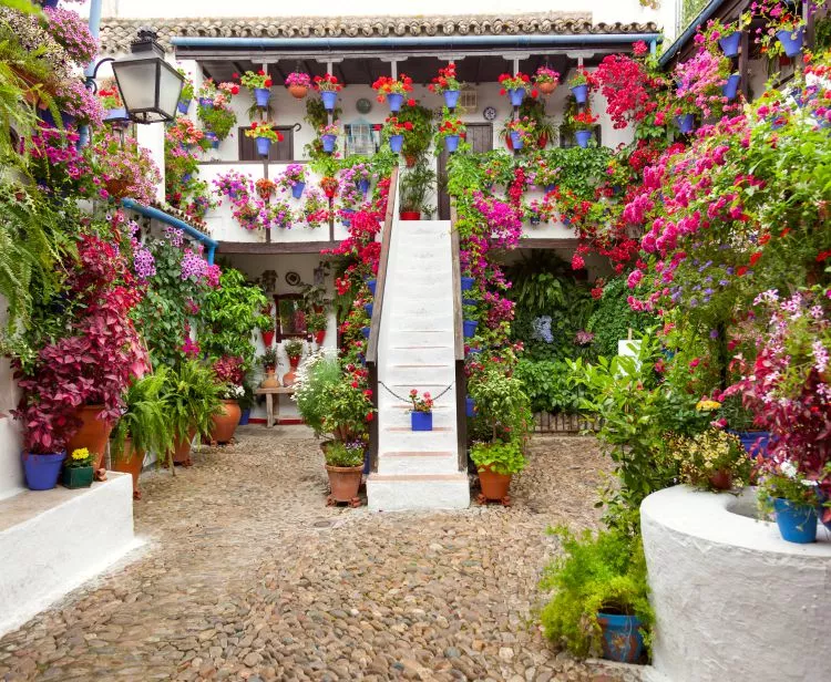 Guided Tour Patios of Cordoba